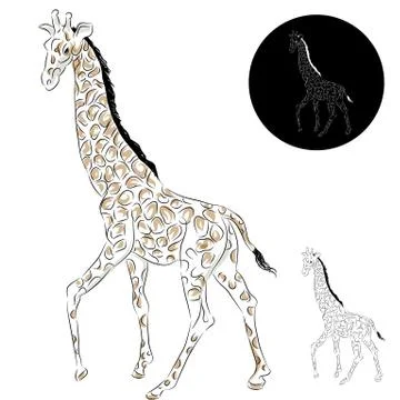 Giraffe drawing Stock Illustration