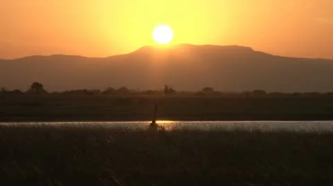 Giraffe drinking with sunset in the background Stock Footage