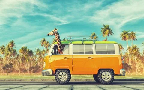 Giraffe driving a car Stock Illustration