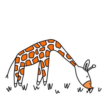 Giraffe eats grass, isolated in doodle style. Stock Illustration