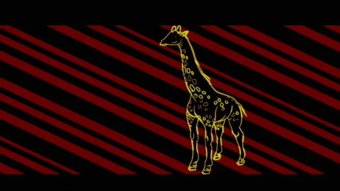 Giraffe Stock Footage 153481548