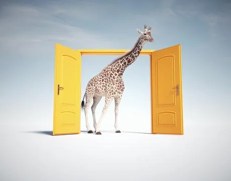 Giraffe get through a yellow door. Stock Illustration