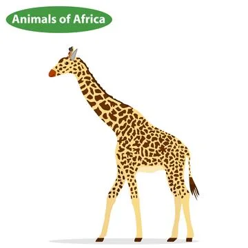 Giraffe, the giraffe icon Stock Illustration