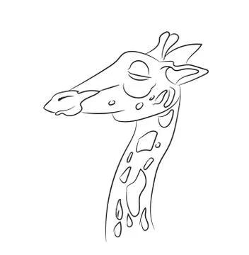 Giraffe graphic lines, vector Stock Illustration