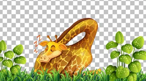 Giraffe on the grass field on transparent background Stock Illustration