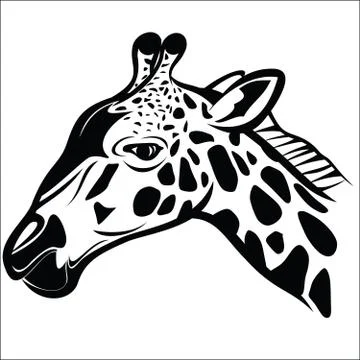 Giraffe head 1 Stock Illustration