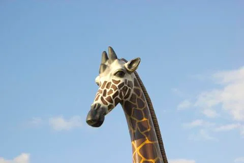 Giraffe head portrait Stock Photos