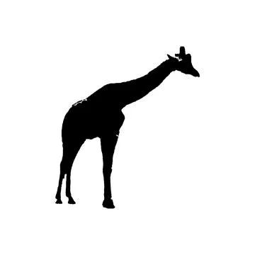 Giraffe icon. Simple style the wild nature poster background symbol. Giraff.. Stock Illustration