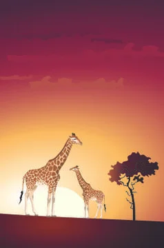 Giraffe Stock Illustration