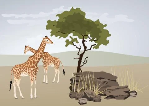 Giraffe Illustrazione stock