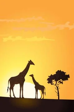 Giraffe Stock-Illustration