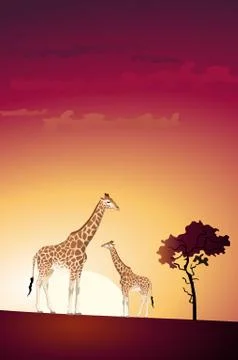 Giraffe Stock-Illustration