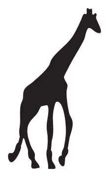 Giraffe Stock Illustration