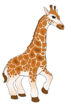 Giraffe 库存插图