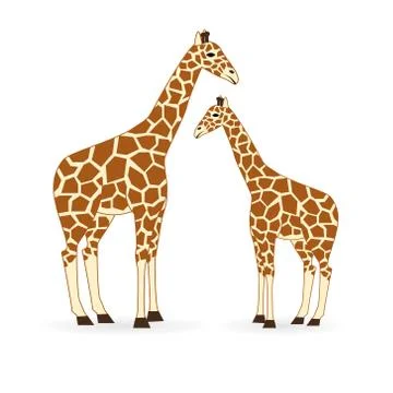 Giraffe Stock Illustration