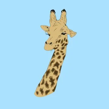Giraffe Stock Illustration