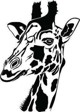 Giraffe Stock Illustration