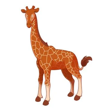 Giraffe Stock Illustration