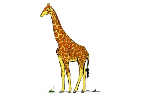 Giraffe Stock Illustration