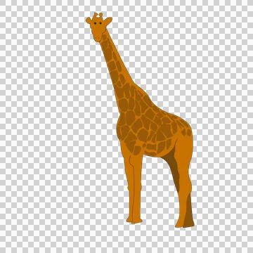 Giraffe Stock Illustration