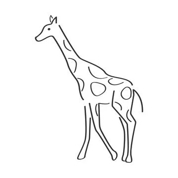 Giraffe logo vector illustration design Stock Illustration