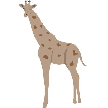 Giraffe with a long neck. Vector illustration. Stock Illustration