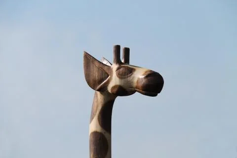 Giraffe Model. Stock Photos