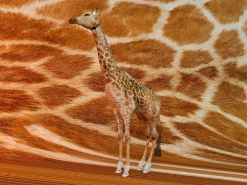 Giraffe with pattern texture Stock Illustration
