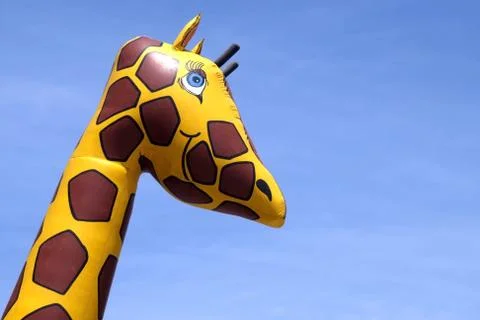 Giraffe Stock Photos