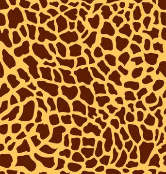 Giraffe Stock Photos