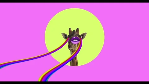 Giraffe with rainbow laser Stock Footage 135611858