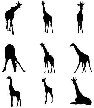 Giraffe silhouette set Stock Illustration