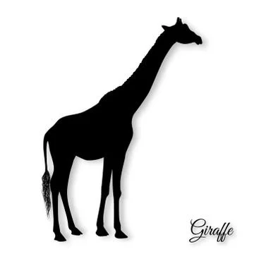 Giraffe silhouette vector Illustrazione stock