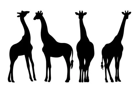 Giraffe silhouette vector for websites, graphics related artwork Stock Illustration