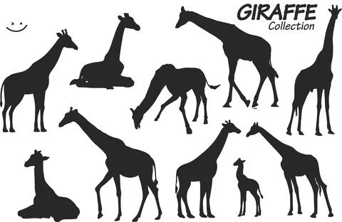 Giraffe silhouettes 스톡 일러스트