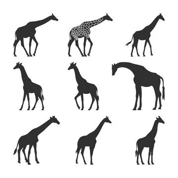 Giraffe Silhouettes Vector Set, African Wildlife Animals in Various Poses Stock Illustration