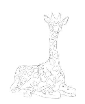 Giraffe sits, lines, vector Stock-Illustration