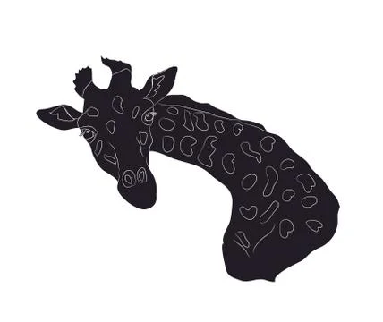 Giraffe sitting, silhouette, vector 스톡 일러스트