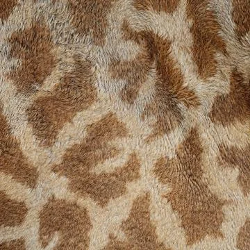 Giraffe skin Foto stock