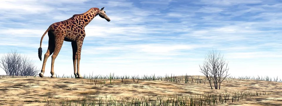 Giraffe standing in the desert - 3D render Stock Illustration