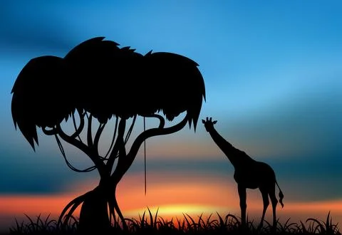 Giraffe at the sunset Stock Photos