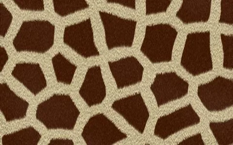 Giraffe texture background Stock Photos