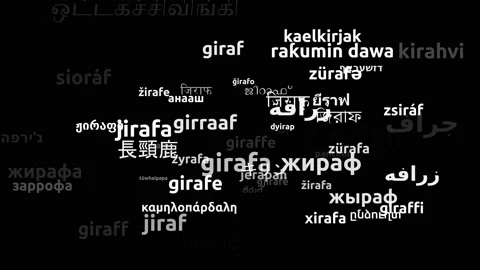 Giraffe Translated in 60 Worldwide Languages Endless Looping 3d Zooming Wordc Video stock 145214327