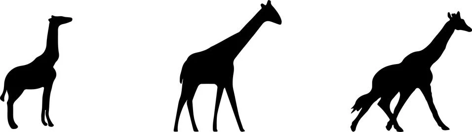 Giraffe vector illustration on background Stock Illustration