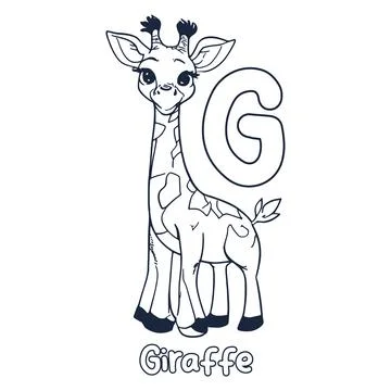 Giraffe vector illustration Black and white Giraffe alphabet coloring book .. Stock Illustration