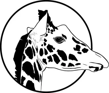 Giraffe vector illustration Stock Illustration