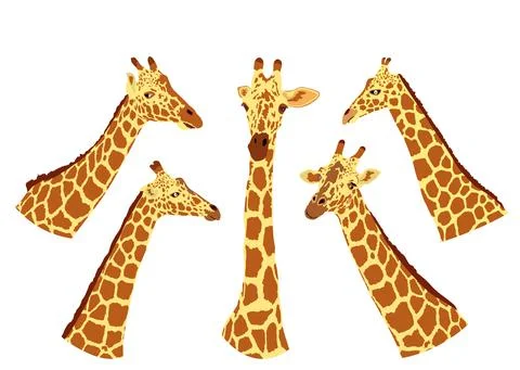 Giraffe vector illustration isolated on white background. Stock Illustration