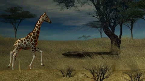 Giraffe Walking Through The Jungle Stock Footage 6848891
