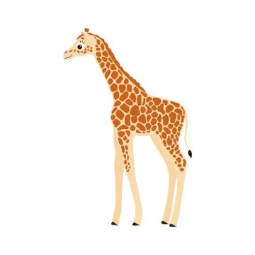 Giraffe on white Stock Illustration