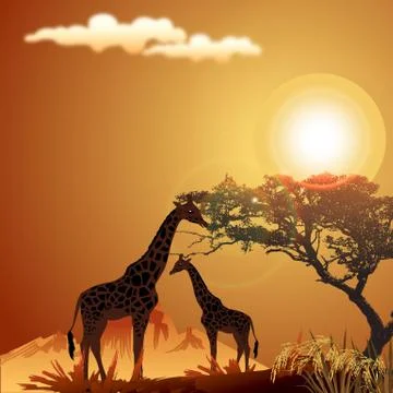 Giraffe, wildlife Stock Illustration